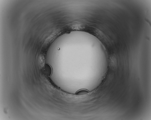X0000103440043200809191735