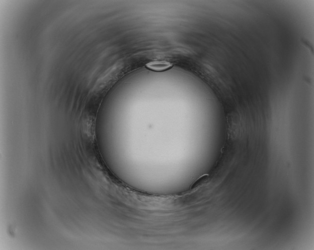 X0000103440044200809191735