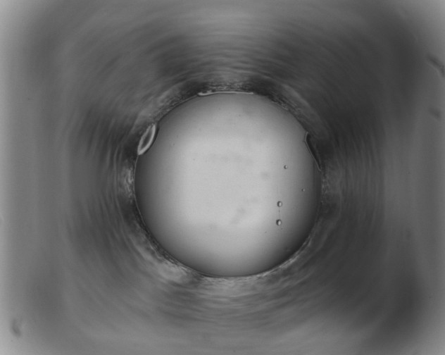 X0000103440045200809191735