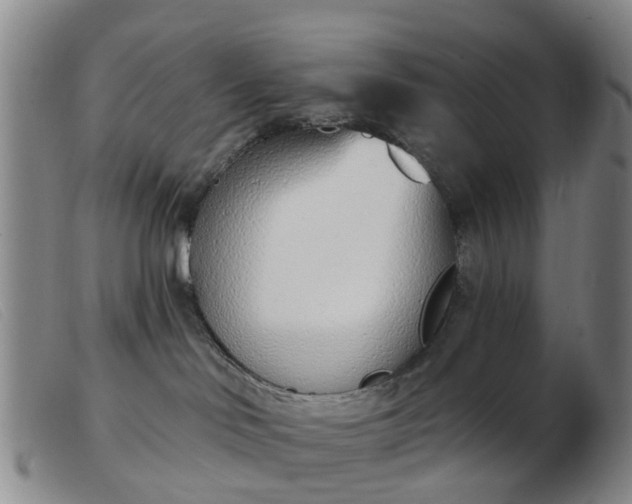 X0000103440046200809191735