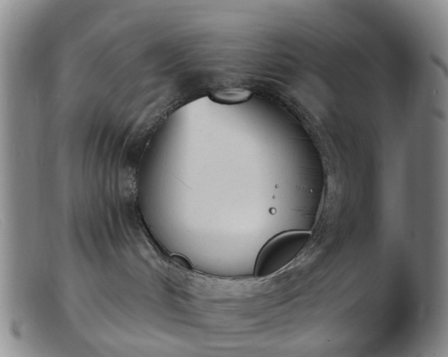 X0000103440048200809191734