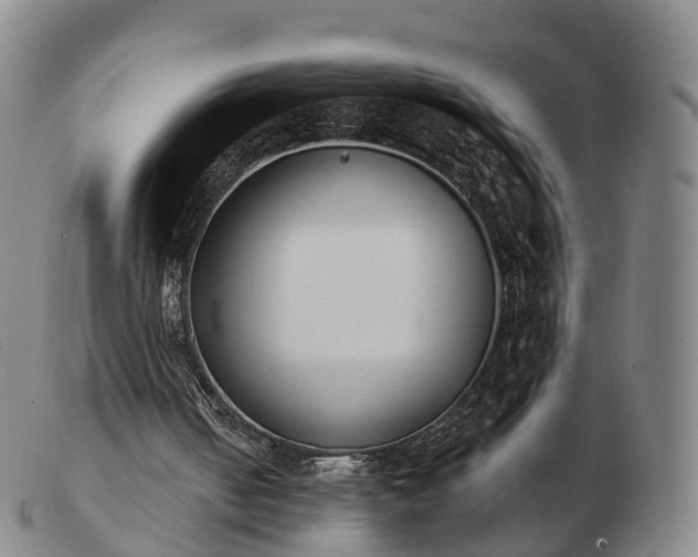 X0000103440050200809191734