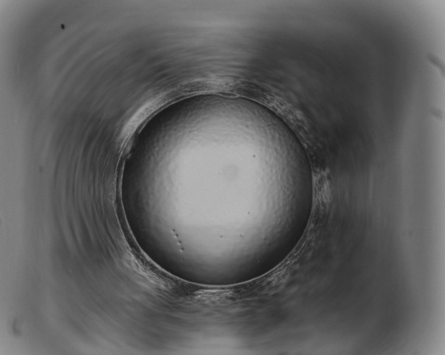 X0000103440051200809191734
