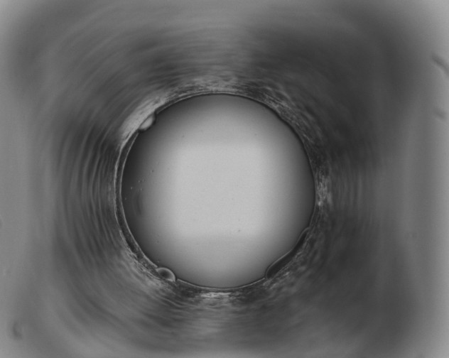 X0000103440052200809191734