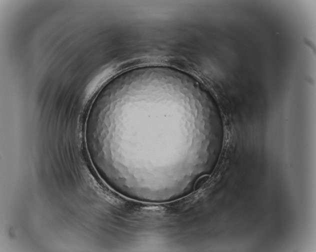 X0000103440053200809191734