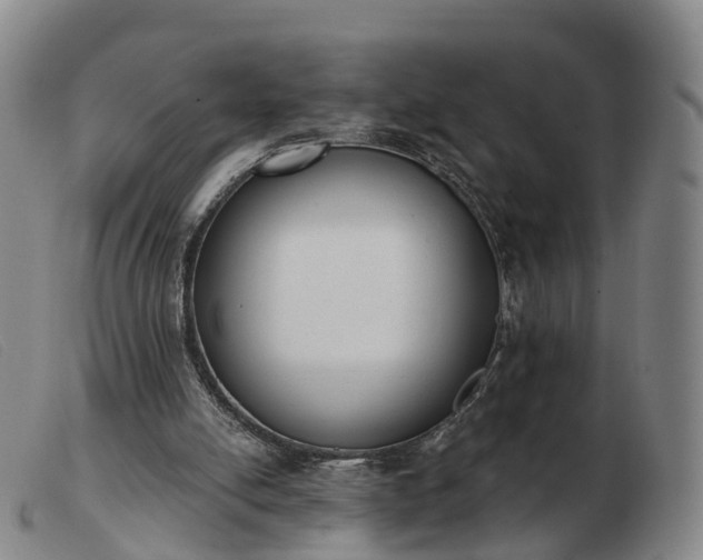 X0000103440054200809191734