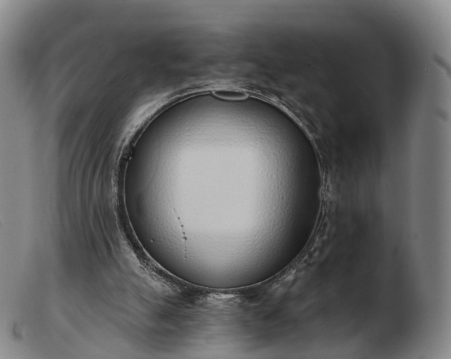 X0000103440055200809191734