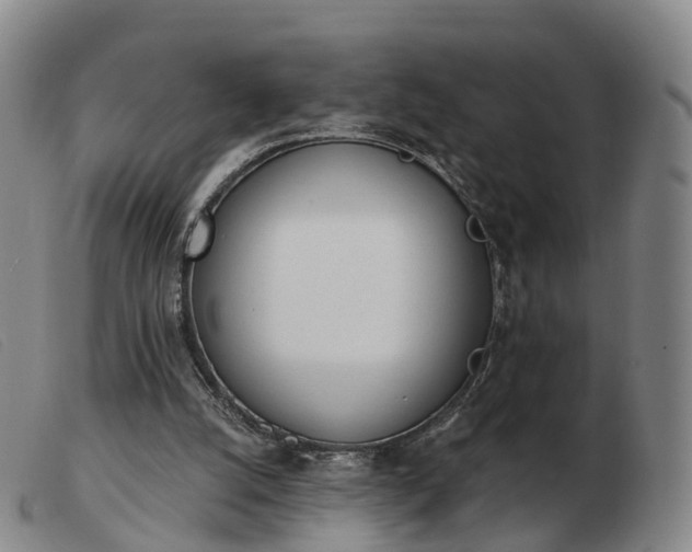 X0000103440056200809191734