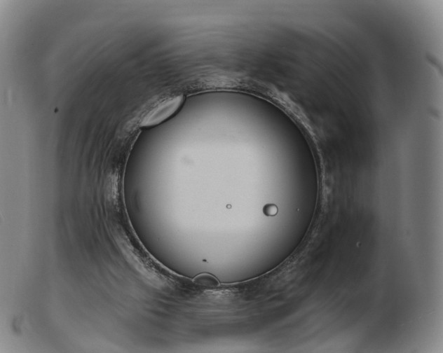 X0000103440057200809191734