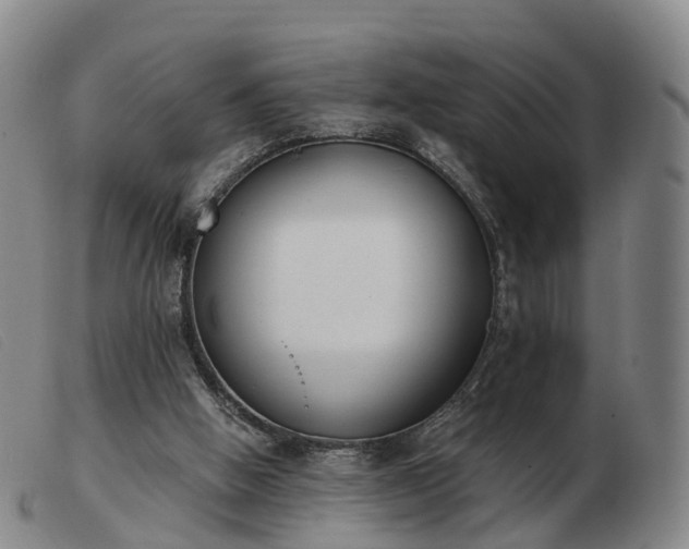 X0000103440058200809191734