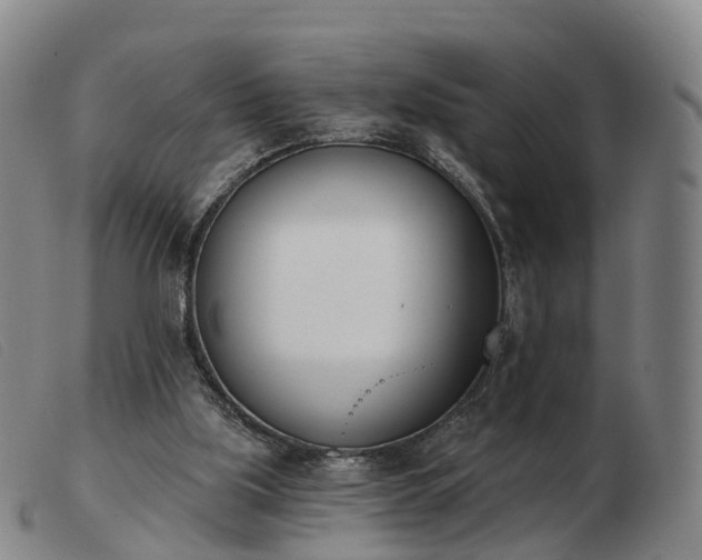 X0000103440059200809191734