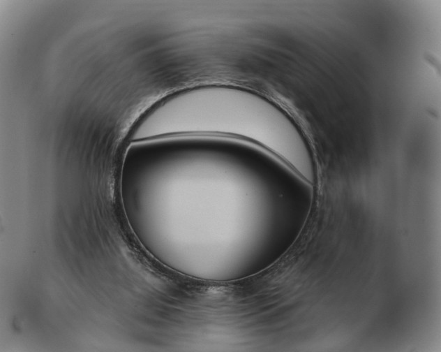 X0000103440060200809191734