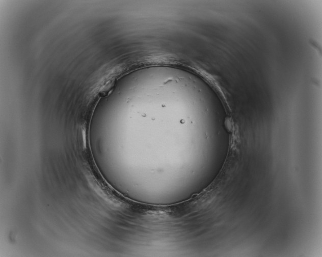 X0000103440061200809191734