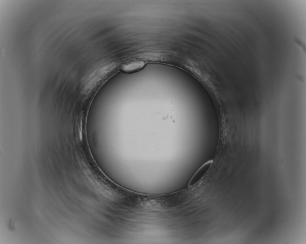 X0000103440062200809191734