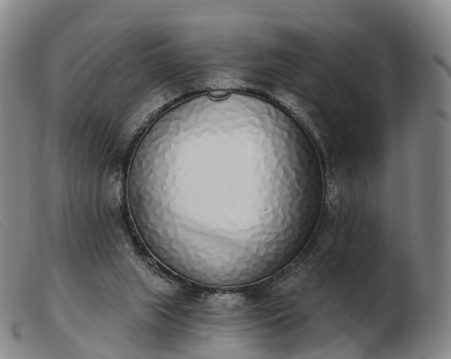 X0000103440063200809191734