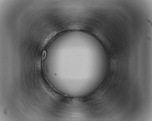 X0000103440064200809191734