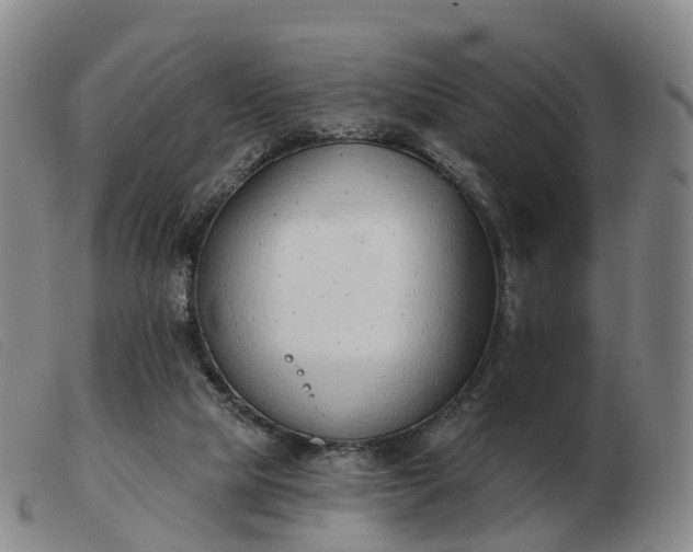 X0000103440065200809191734