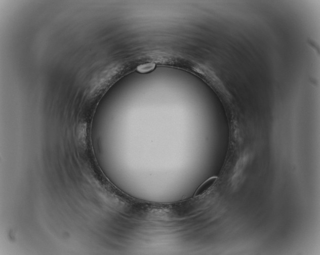 X0000103440066200809191734