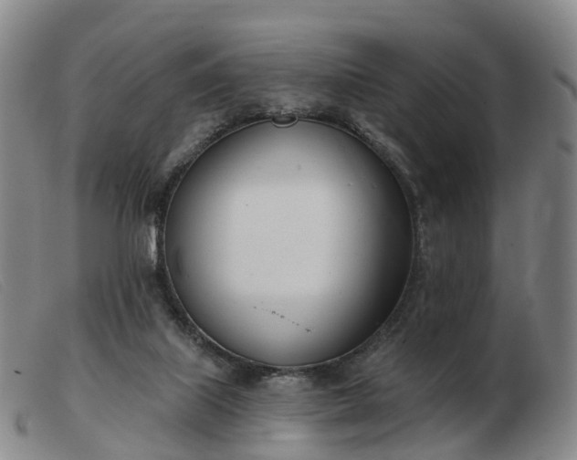 X0000103440067200809191734
