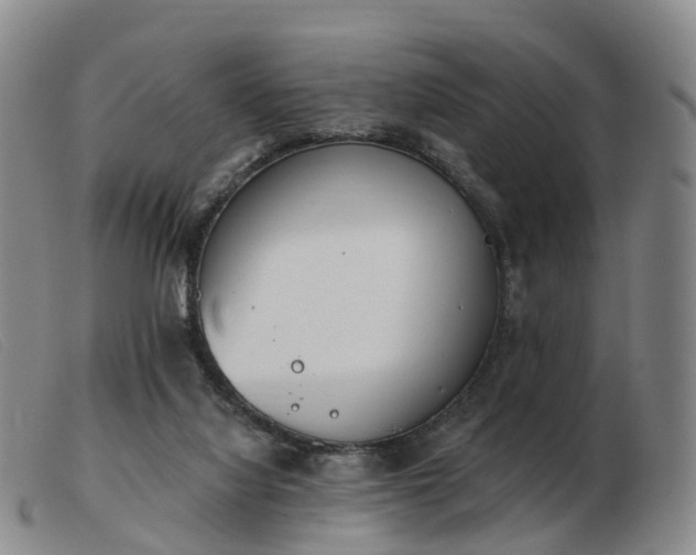 X0000103440068200809191734