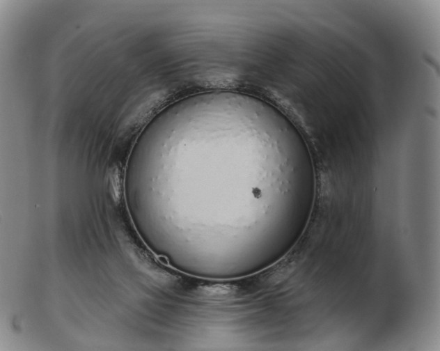 X0000103440069200809191734