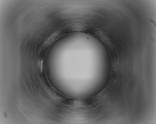 X0000103440070200809191734