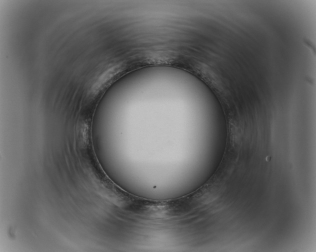 X0000103440071200809191734