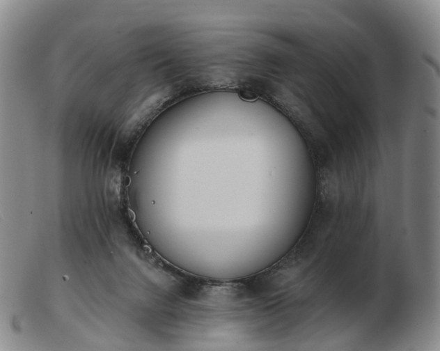 X0000103440072200809191734