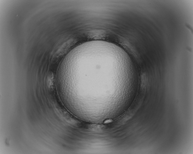 X0000103440073200809191734