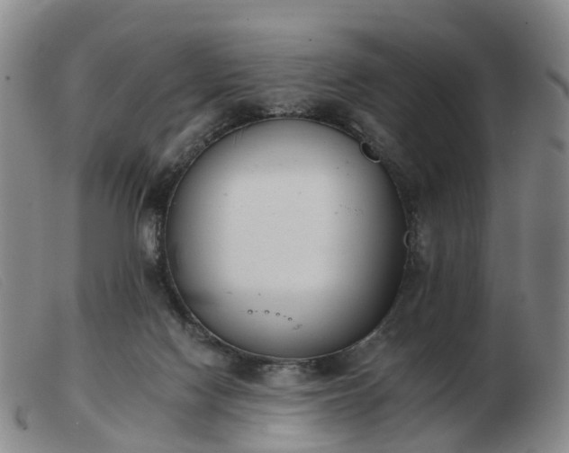 X0000103440074200809191734