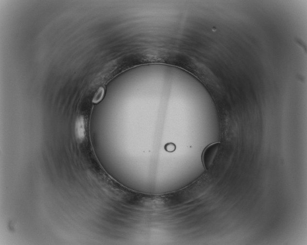 X0000103440075200809191734