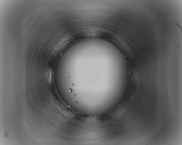 X0000103440076200809191734
