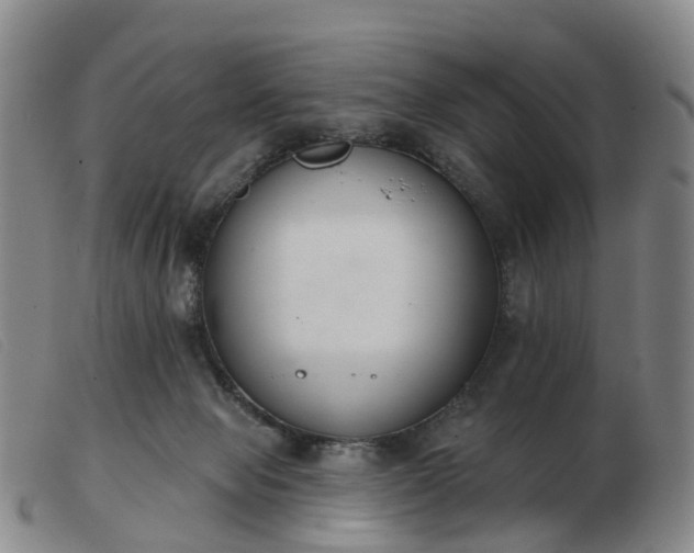 X0000103440077200809191734