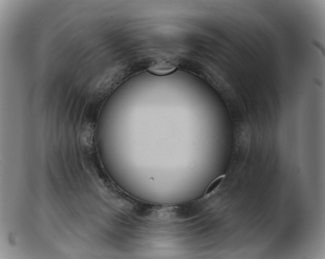 X0000103440078200809191734