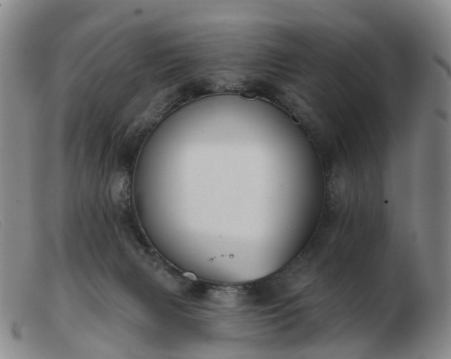 X0000103440079200809191734