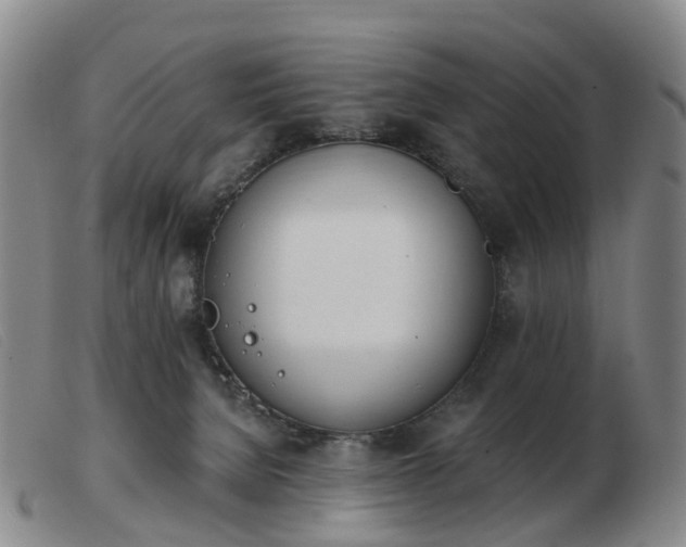X0000103440080200809191734