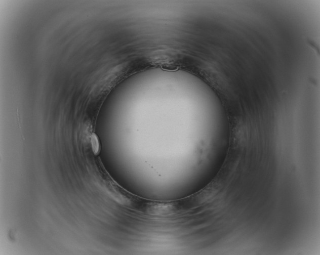 X0000103440081200809191734