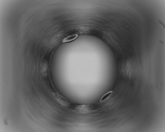 X0000103440082200809191734