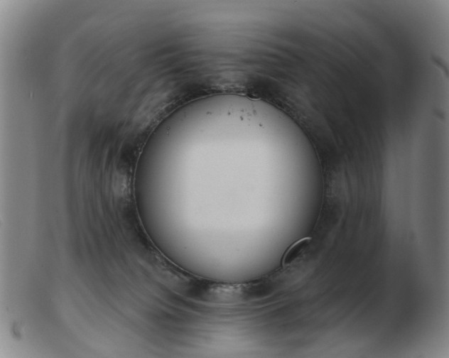 X0000103440084200809191734