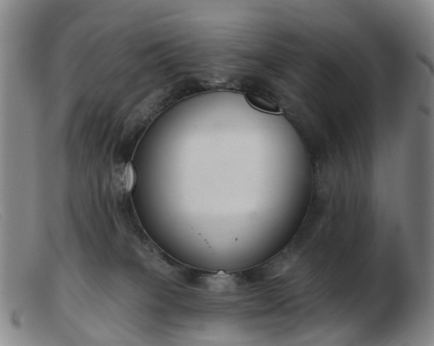 X0000103440085200809191734