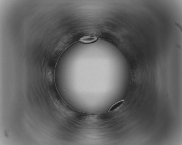 X0000103440086200809191734