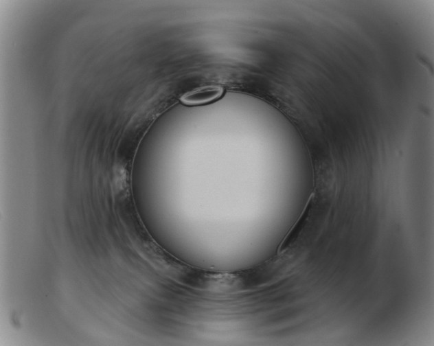 X0000103440087200809191734