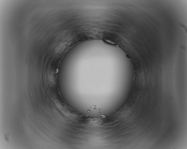 X0000103440088200809191734