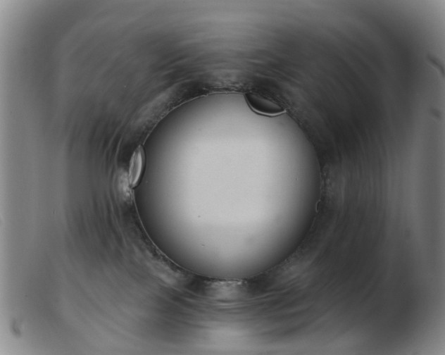 X0000103440089200809191734