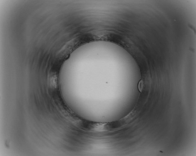 X0000103440090200809191734