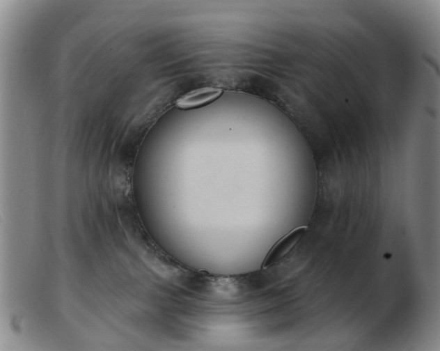 X0000103440091200809191734