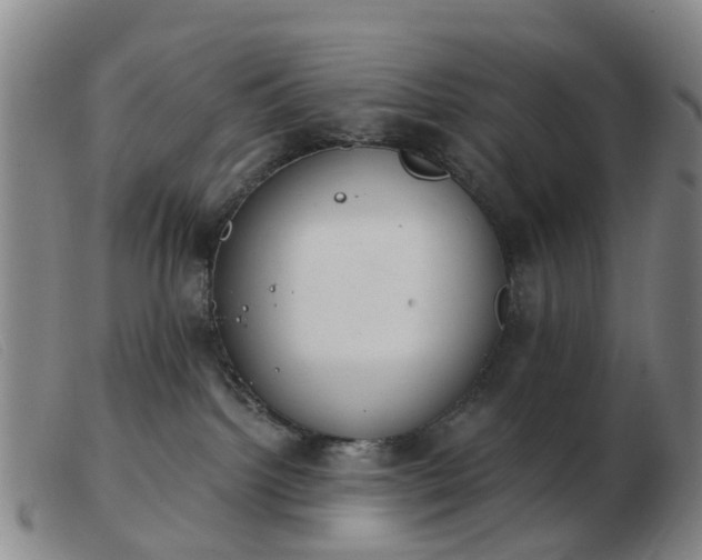 X0000103440092200809191734