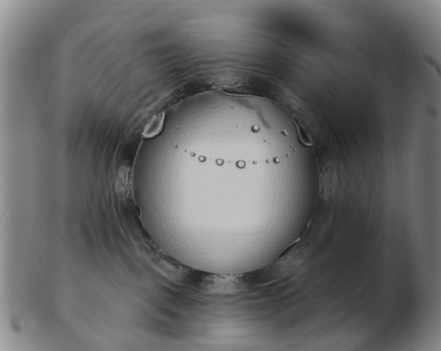 X0000103440093200809191734