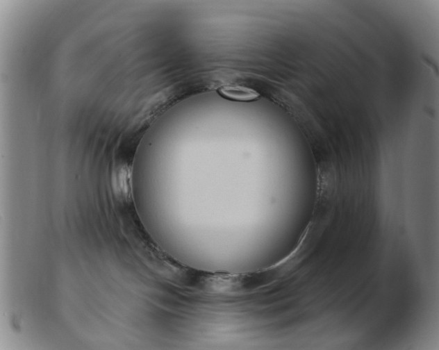 X0000103440094200809191734