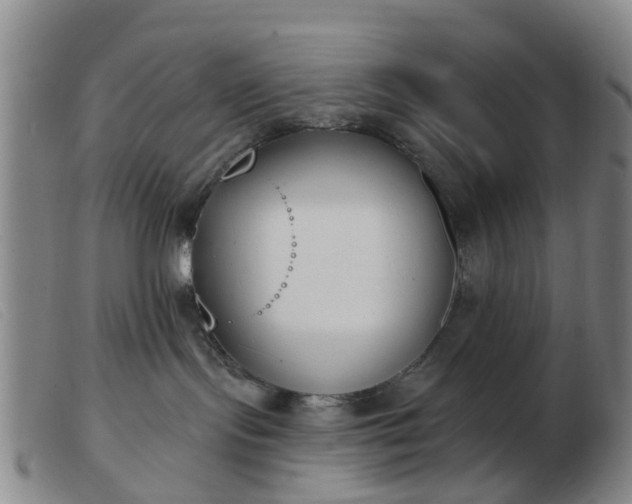 X0000103440095200809191734